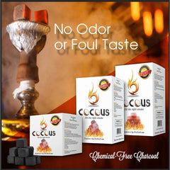 Cocous Big Boss Natural Big Cube Coconut Charcoal Incense Hookah Shisha Narguile Coal Coconut Shell Briquette Coals 1KG - 64 Pieces 26MM Cubes